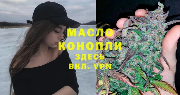 твердый Инсар