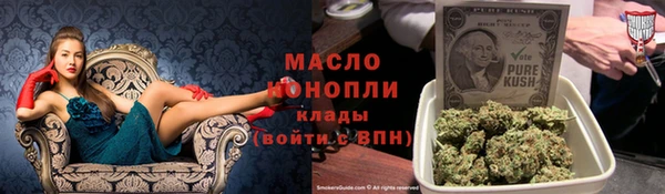 твердый Инсар